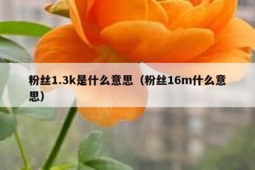 粉丝1.3k是什么意思（粉丝16m什么意思）