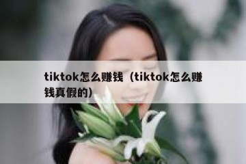 tiktok怎么赚钱（tiktok怎么赚钱真假的）