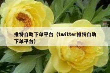 推特自助下单平台（twitter推特自助下单平台）