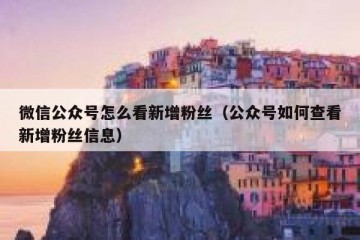 微信公众号怎么看新增粉丝（公众号如何查看新增粉丝信息）
