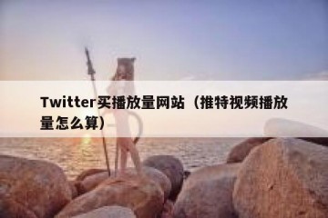 Twitter买播放量网站（推特视频播放量怎么算）