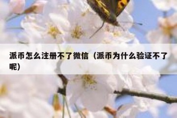 派币怎么注册不了微信（派币为什么验证不了呢）
