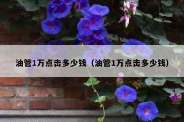 油管1万点击多少钱（油管1万点击多少钱）