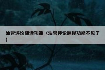 油管评论翻译功能（油管评论翻译功能不见了）