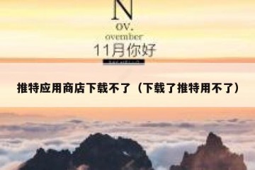 推特应用商店下载不了（下载了推特用不了）