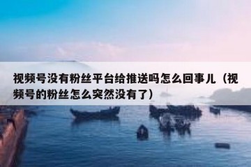 视频号没有粉丝平台给推送吗怎么回事儿（视频号的粉丝怎么突然没有了）