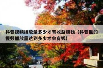 抖音视频播放量多少才有收益赚钱（抖音里的视频播放量达到多少才会有钱）