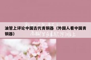 油管上评论中国古代青铜器（外国人看中国青铜器）