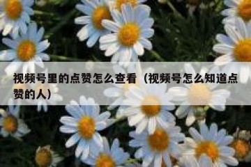 视频号里的点赞怎么查看（视频号怎么知道点赞的人）