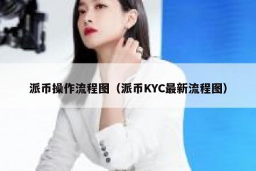 派币操作流程图（派币KYC最新流程图）
