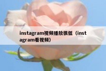 instagram视频播放很低（instagram看视频）