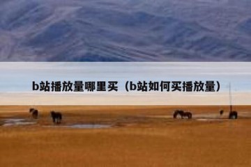 b站播放量哪里买（b站如何买播放量）