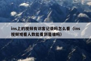 ins上的视频有访客记录吗怎么看（ins视频观看人数能看到是谁吗）