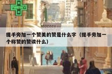 提手旁加一个赞美的赞是什么字（提手旁加一个称赞的赞读什么）