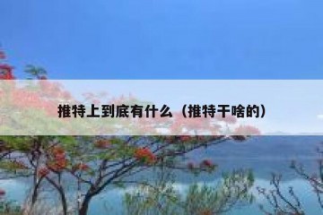 推特上到底有什么（推特干啥的）