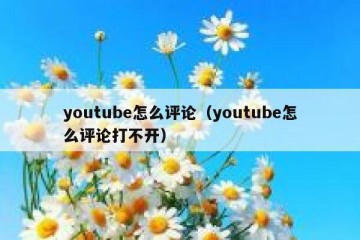 youtube怎么评论（youtube怎么评论打不开）