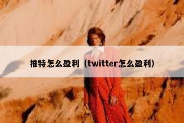推特怎么盈利（twitter怎么盈利）