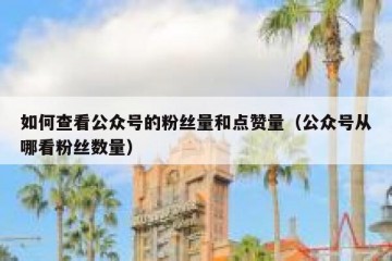 如何查看公众号的粉丝量和点赞量（公众号从哪看粉丝数量）