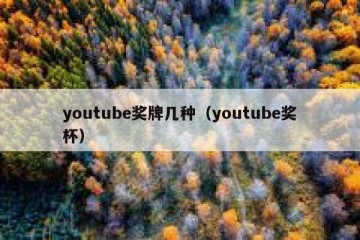 youtube奖牌几种（youtube奖杯）