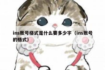 ins账号格式是什么要多少字（ins账号的格式）