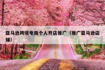 亚马逊跨境电商个人开店推广（推广亚马逊店铺）