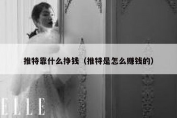 推特靠什么挣钱（推特是怎么赚钱的）