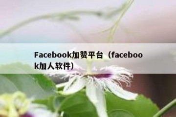 Facebook加赞平台（facebook加人软件）