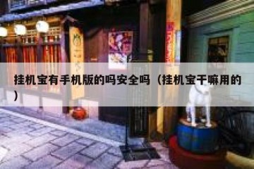 挂机宝有手机版的吗安全吗（挂机宝干嘛用的）