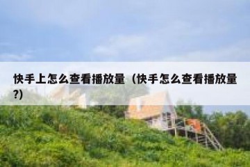 快手上怎么查看播放量（快手怎么查看播放量?）