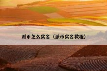 派币怎么实名（派币实名教程）
