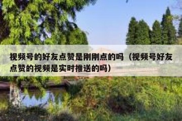视频号的好友点赞是刚刚点的吗（视频号好友点赞的视频是实时推送的吗）
