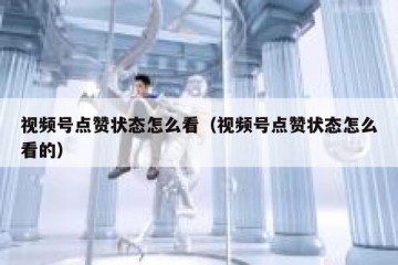 视频号点赞状态怎么看（视频号点赞状态怎么看的）