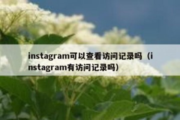 instagram可以查看访问记录吗（instagram有访问记录吗）