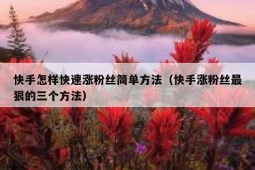 快手怎样快速涨粉丝简单方法（快手涨粉丝最狠的三个方法）