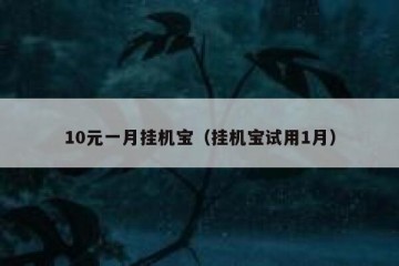 10元一月挂机宝（挂机宝试用1月）