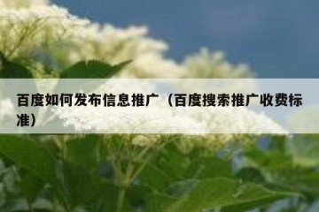 百度如何发布信息推广（百度搜索推广收费标准）