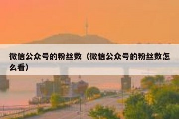 微信公众号的粉丝数（微信公众号的粉丝数怎么看）