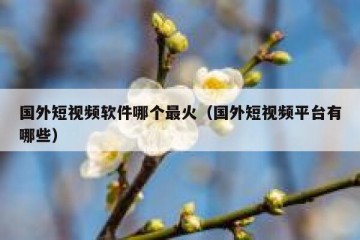 国外短视频软件哪个最火（国外短视频平台有哪些）