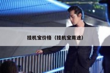 挂机宝价格（挂机宝用途）