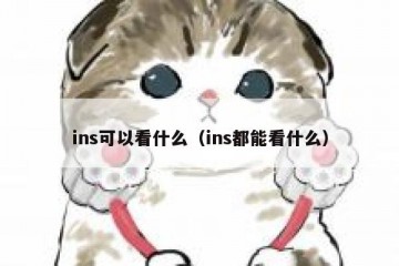 ins可以看什么（ins都能看什么）