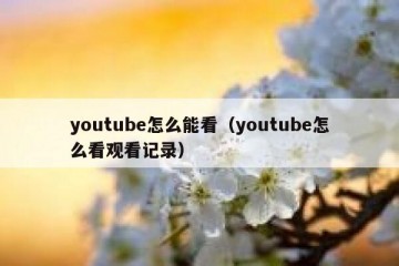 youtube怎么能看（youtube怎么看观看记录）