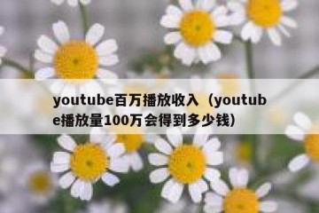 youtube百万播放收入（youtube播放量100万会得到多少钱）