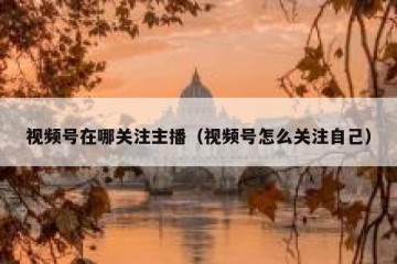 视频号在哪关注主播（视频号怎么关注自己）