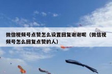 微信视频号点赞怎么设置回复谢谢呢（微信视频号怎么回复点赞的人）