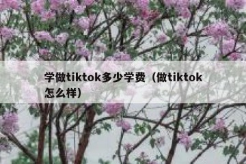 学做tiktok多少学费（做tiktok怎么样）