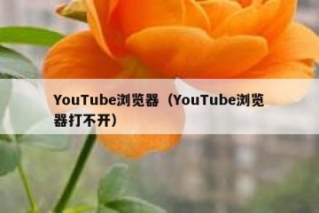 YouTube浏览器（YouTube浏览器打不开）