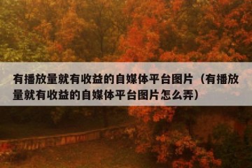 有播放量就有收益的自媒体平台图片（有播放量就有收益的自媒体平台图片怎么弄）