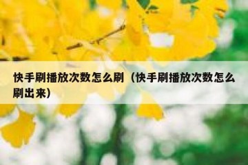 快手刷播放次数怎么刷（快手刷播放次数怎么刷出来）
