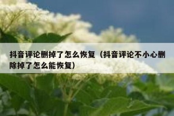 抖音评论删掉了怎么恢复（抖音评论不小心删除掉了怎么能恢复）