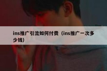 ins推广引流如何付费（ins推广一次多少钱）
